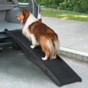 CR Tri-Fold Vehicle Pet Ramp Blk