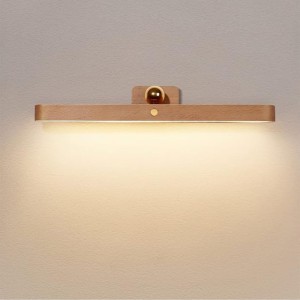 Led Rechargeable Vanity Light