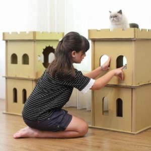 London Bridge Cat House