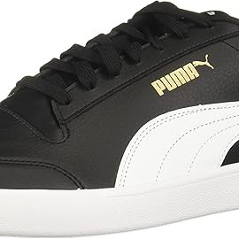 shoe