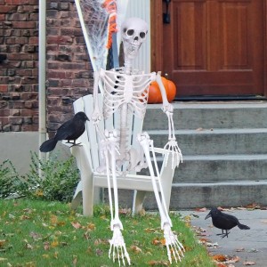 Wocst 6Ft Halloween Life Size Skeleton Posable Skeleton with Movable Joints Halloween Full Body Plastic