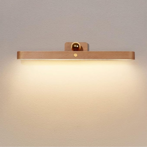 Led Rechargeable Vanity Light