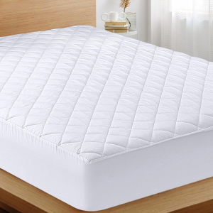 Quilted Fitted Mattress Pad (Queen), Elastic Fitted Mattress Protector